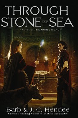 Through Stone and Sea (2010)