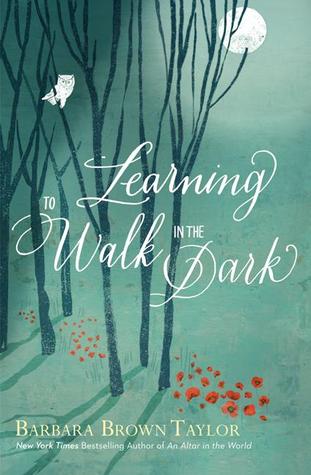 Learning to Walk in the Dark (2014)