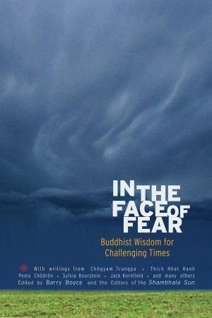 In the Face of Fear: Buddhist Wisdom for Challenging Times (2009)