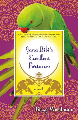 Jana Bibi's Excellent Fortunes (2012)