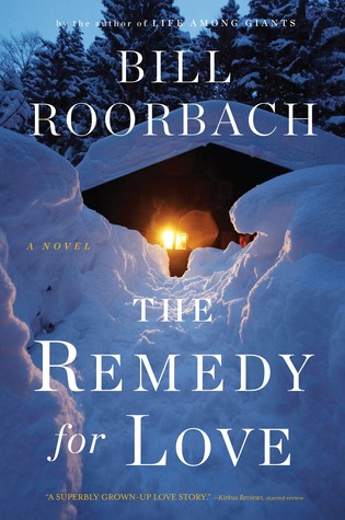 The Remedy for Love: A Novel (2014)