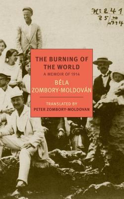 The Burning of the World: A Memoir of 1914 (2014)