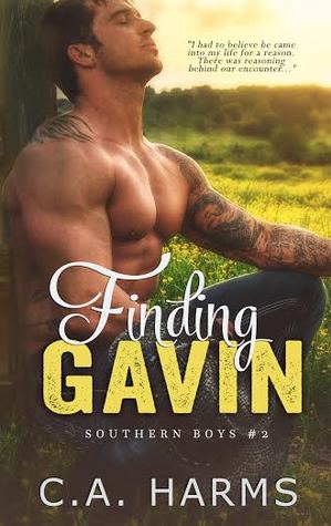 Finding Gavin (2014)