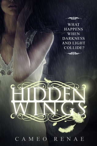 Hidden Wings (2013)