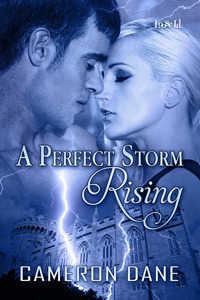 A Perfect Storm Rising (2011)