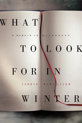 What to Look for in Winter: A Memoir in Blindness (2012)