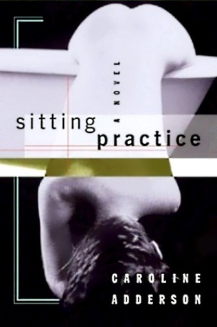 Sitting Practice: A Novel
