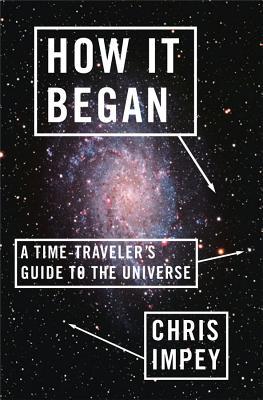 How It Began: A Time-Traveler's Guide to the Universe (2012)