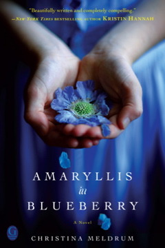 Amaryllis in Blueberry (2011)