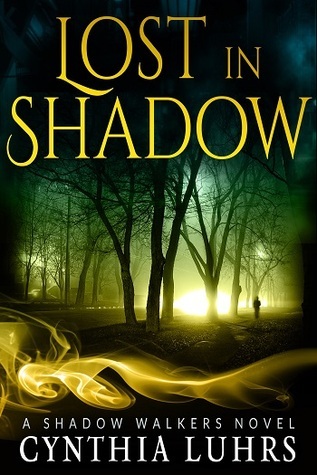 Lost in Shadow (2013)