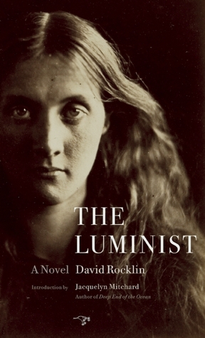 The Luminist: A Novel