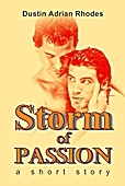 Storm of Passion: A Short Story (2011)