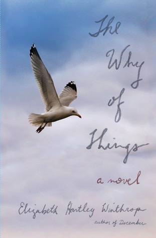 The Why of Things: A Novel (2013)