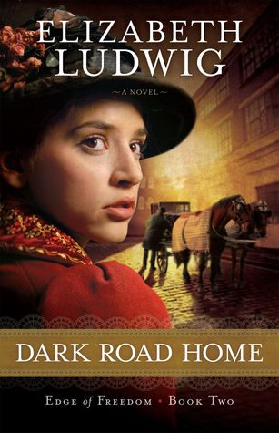 Dark Road Home (2013)