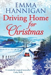 Driving Home For Christmas (2012)