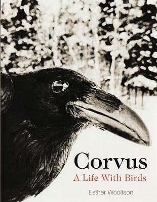 Corvus: A Life with Birds