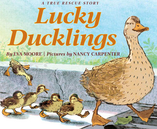 Lucky Ducklings