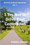 I Try Not to Drive Past Cemeteries (2010)