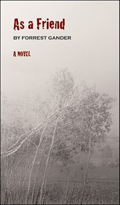 As a Friend: A Novel (2008)