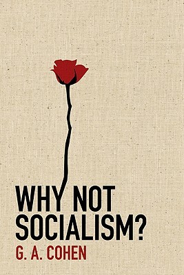 Why Not Socialism? (2009)
