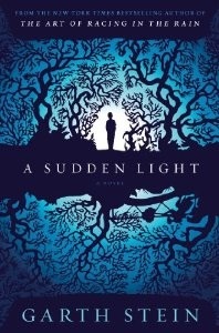 A Sudden Light (2014)