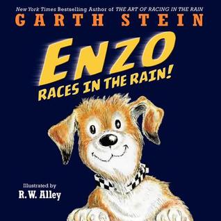 Enzo Races in the Rain (2014)