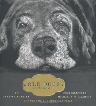 Old Dogs Are the Best Dogs