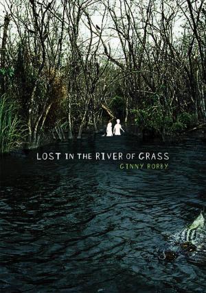 Lost in the River of Grass (2011)