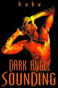 Dark Angel Sounding (2008)