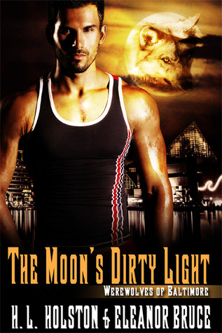 The Moon's Dirty Light (2013)