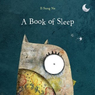 A Book of Sleep (2007)