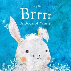Brrrr: A Book of Winter. by Il Sung Na (2010)
