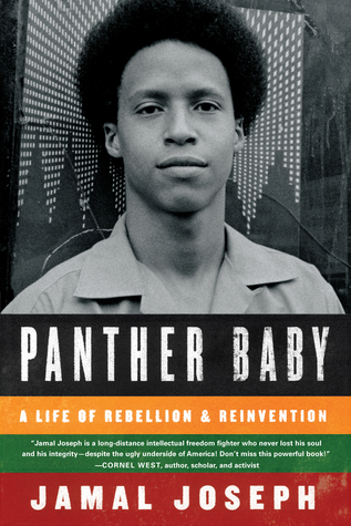 Panther Baby: A Life of Rebellion and Reinvention (2012)