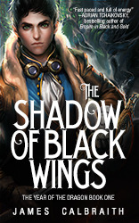 The Shadow of Black Wings (2012)