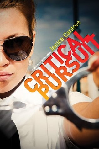 Critical Pursuit (2013)