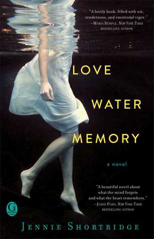 Love Water Memory (2014)