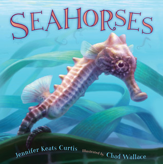 Seahorses (2012)