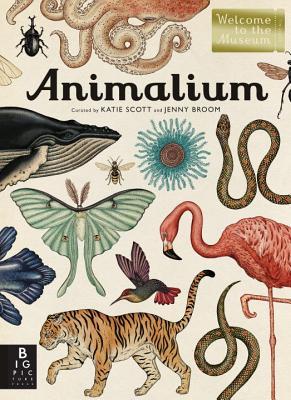Animalium (2014)