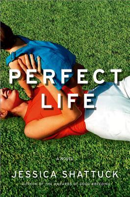 Perfect Life: A Novel (2009)