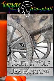 Touch of a Wolf (2010)