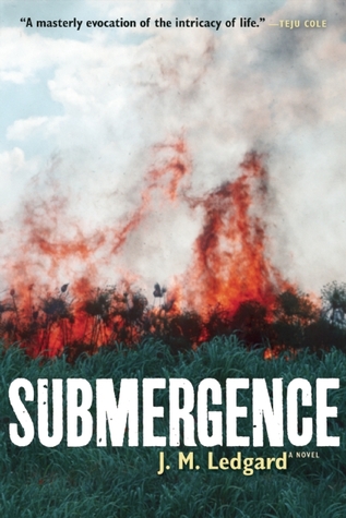 Submergence (2013)