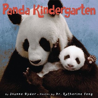 Panda Kindergarten (2009)