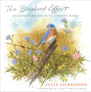 The Bluebird Effect: Uncommon Bonds with Common Birds (2012)