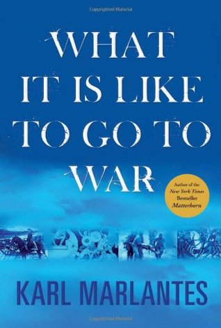 What It is Like to Go to War (2011)