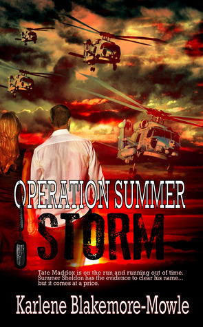 Operation Summer Storm (2010)