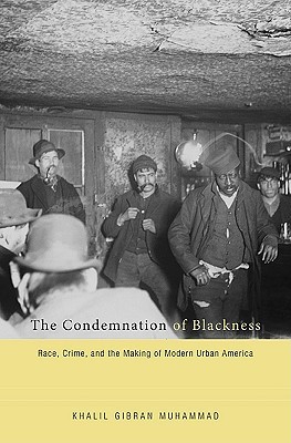 The Condemnation of Blackness: Race, Crime, and the Making of Modern Urban America (2010)