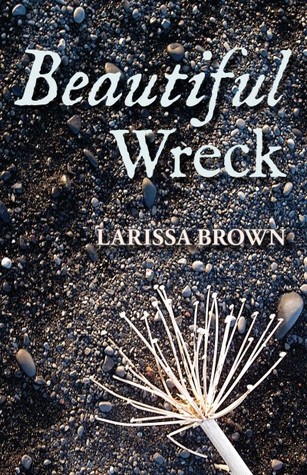 Beautiful Wreck (2014)