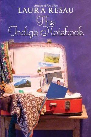 The Indigo Notebook (2009)