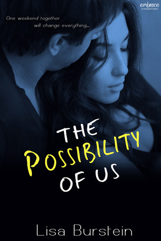 The Possibility of Us (2014)