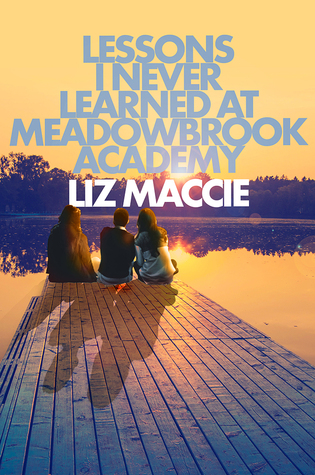 Lessons I Never Learned At Meadowbrook Academy (2014)
